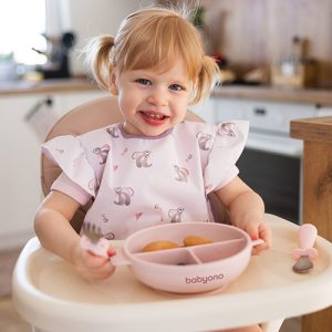 BABYONO Silikoninė lėkštė su siurbtuku ir rausvu dangteliu