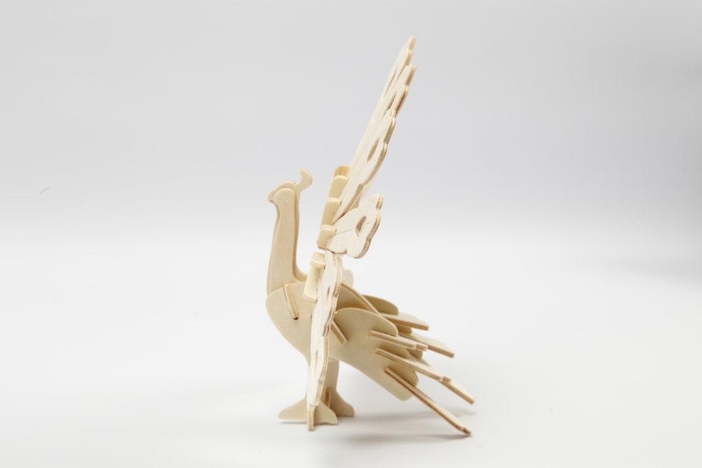 3D medinis konstruktorius, POVAS - Image 3