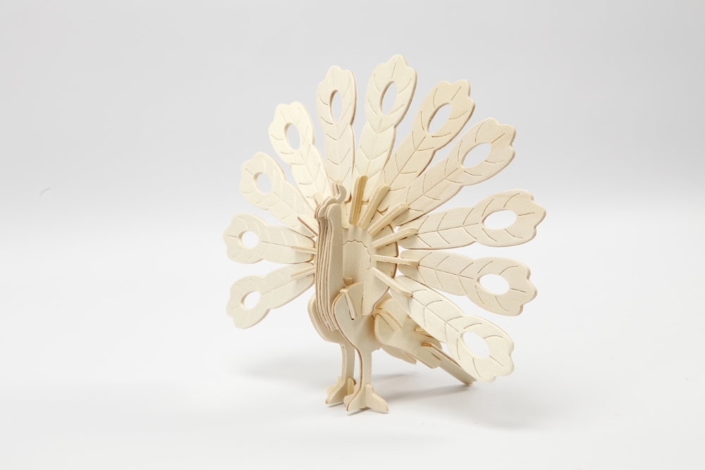 3D medinis konstruktorius, POVAS - Image 4