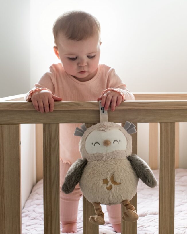 TOMMEE TIPPEE Pliušinė pelėda - Image 4