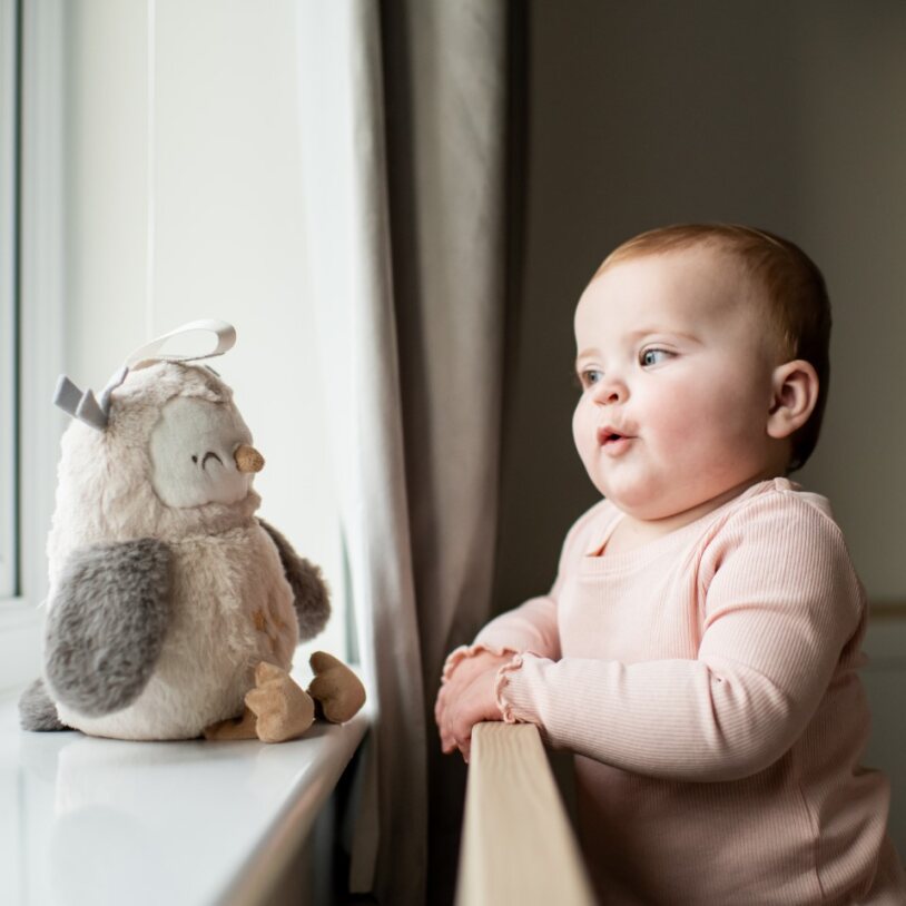 TOMMEE TIPPEE Pliušinė pelėda - Image 6