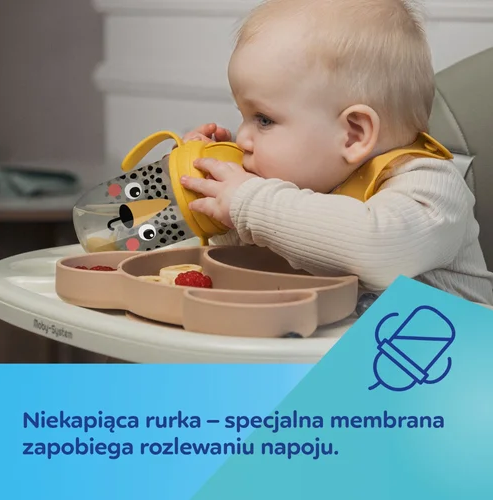 CANPOL Sippy puodelis su vamzdeliu ir svoriu BabiesBoo panda balta - Image 6