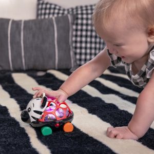 OBALL Žaislinis automobilis su barškučiu Curious Car Zen zebra 3 m+