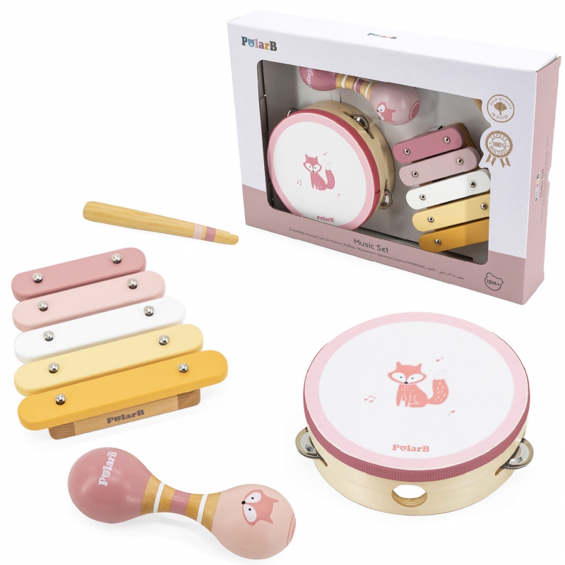 VIGA PolarB muzikos instrumentų rinkinys