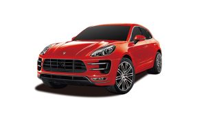 RASTAR automodelis valdomas RC 1:24 Porshe , asort., 71800