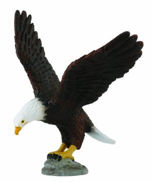 COLLECTA erelis plikasis (M) 88383