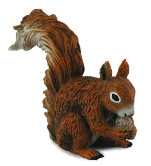 COLLECTA ėdanti raudonoji voverė (S) 88467