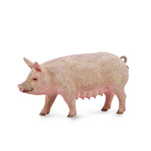 COLLECTA kiaulė (M), 88863