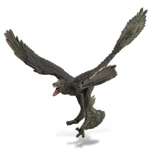 COLLECTA Mikroraptorius, 1:6, (XL), 88875