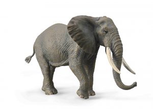 COLLECTA Afrikinis dramblys (XL), 88966