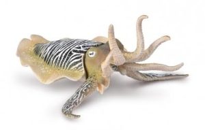 COLLECTA Jūros gyvūnas Common Cuttlefish (XL), 80009