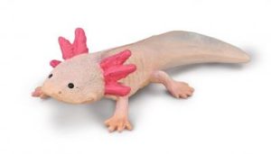 COLLECTA Varliagyvis Axolotl (M), 80015