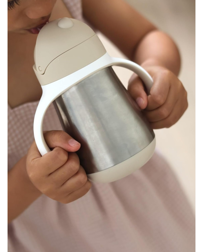 BEABA METALINĖ GERTUVĖ SU ŠIAUDELIU, 250 ML, CLAY - Image 2