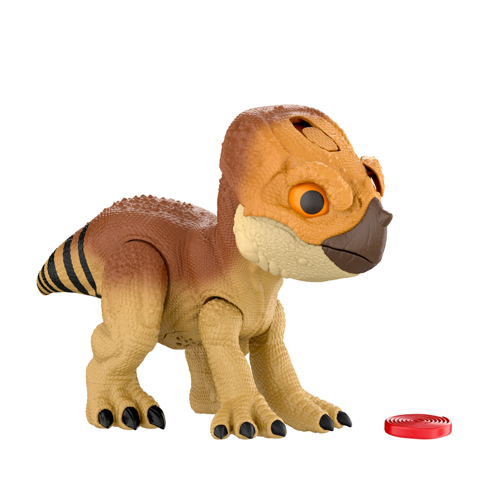 JURASSIC WORLD interaktyvus dinozauras – Aquilops (JGC01) - Image 6