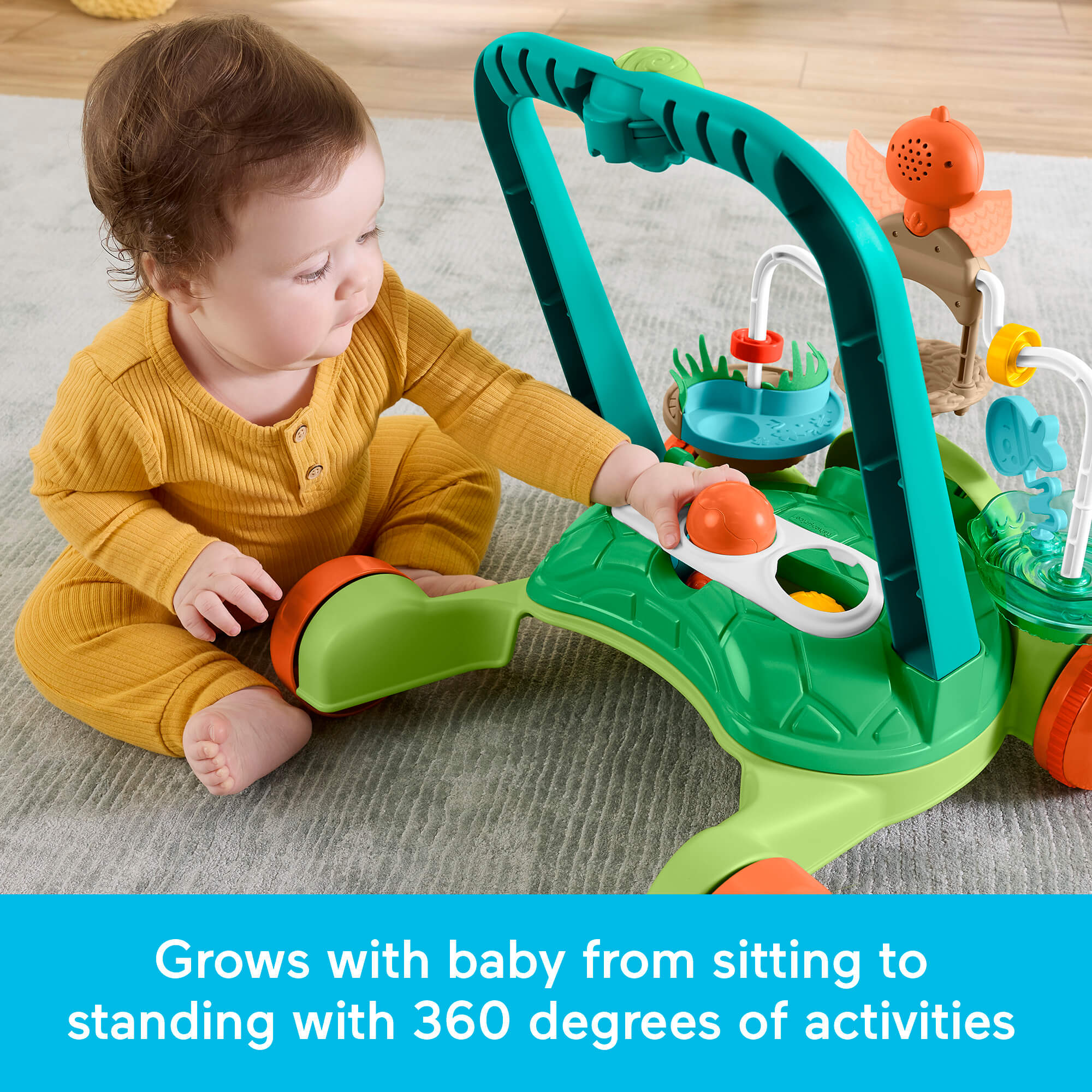 FISHER-PRICE vėžliuko vaikštynė (JKD63) - Image 5
